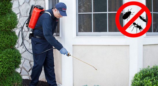 Seydişehir Dezenfeksiyon böcek ilaçlama ve haşere kontrolü — ilaclama-tr.com